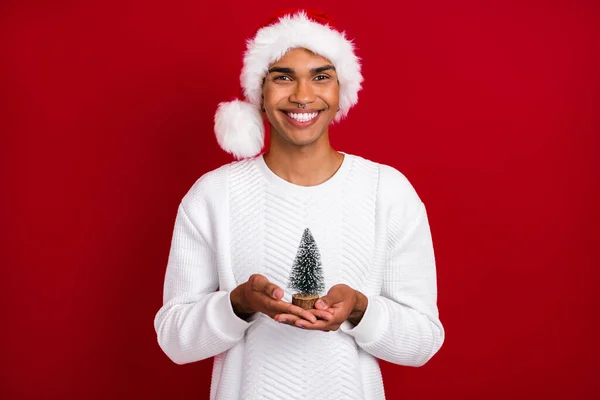 Portrait Positive Handsome Person Beaming Smile Arms Hold Tiny Evergreen — Stock Photo, Image