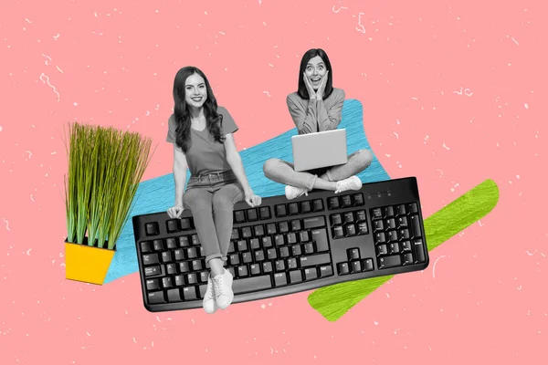 複合コラージュポートレートの二つの小さな興奮ファンキーな女の子座って大きなキーボード使用ネットブックハウスプラント孤立した絵の背景 — ストック写真