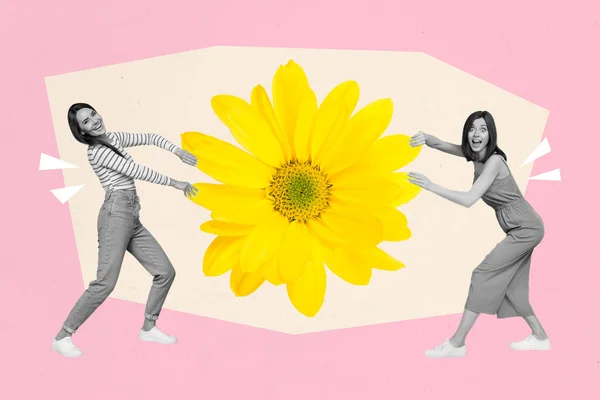 Composiet Collage Afbeelding Van Twee Opgewonden Zwart Wit Effect Meisjes — Stockfoto