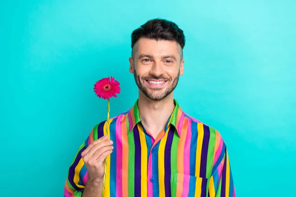 ポジティブな男の手の肖像画は ターコイズ色の背景に隔離された笑みを浮かべてゲルベラの花を保持 — ストック写真