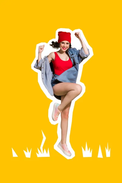 Foto Criativa Colagem Artwork Poster Cartão Postal Senhora Feliz Alegrar — Fotografia de Stock