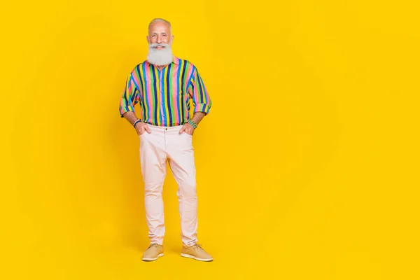 Portrait Nice Optimistic Old Man Long Beard Wear Colorful Shirt — Stock Photo, Image