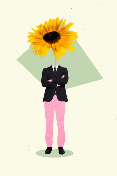 Vertical Creative Collage Illustration Funny Headless Man Flower Instead Head — Foto Stock