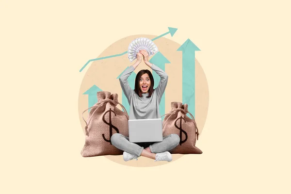 Creative Collage Image Excited Astonished Girl Hold Dollar Banknotes Use — 스톡 사진