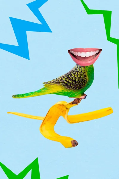 Composite photo collage of nature fauna flying green parrot budgerigar headless open mouth talking stay banana peel isolated on painted background.