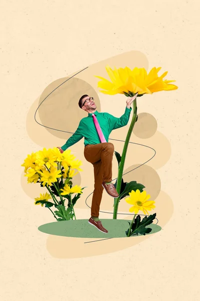 Poster Unusual Banner Collage Small Person Walk Big Yellow Flowers — Stockfoto