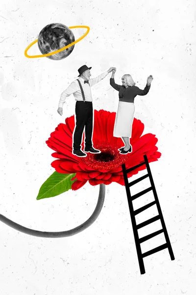 Vertical creative collage image of dancing energetic cheerful grandparents dating red gerbera moonlight climb ladder retro vintage culture.