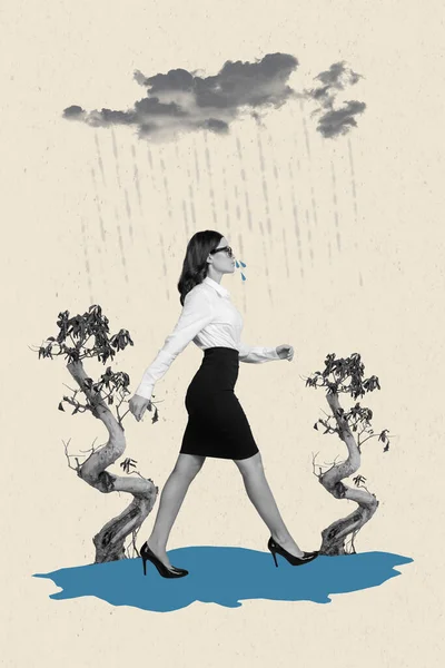 Creative Photo Collage Artwork Poster Picture Frustrated Lonely Lady Walking —  Fotos de Stock