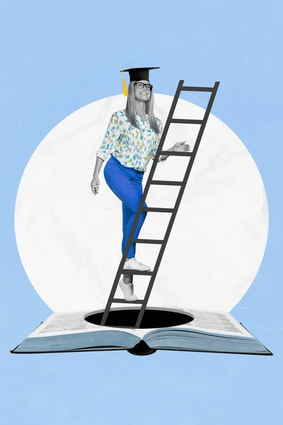 Creative metaphor collage banner of female lady climb ladder up from book get wisdom educational knowledge.