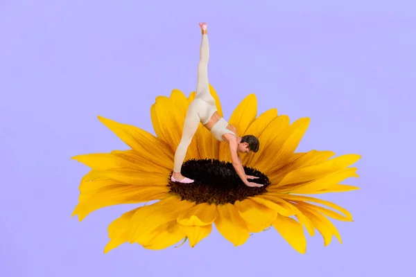 Photo Collage Artwork Minimal Picture Charming Lady Practicing Yoga Flower — Zdjęcie stockowe