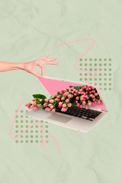 Composite Collage Picture Image Woman Hand Opening Laptop Spring Pink — Stockfoto
