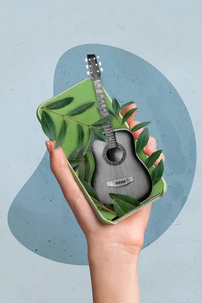 Creative drawing collage picture of hand holding device acoustic guitar plant tropical spring meloman lessons melody network playlist.