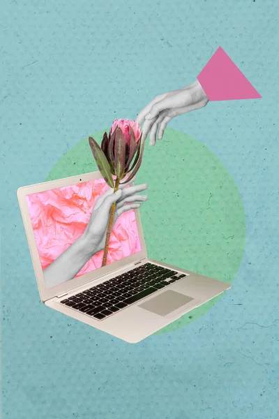 Creative Drawing Collage Picture Girlish Laptop Hand Take Bouquet Flower — Stock Photo, Image