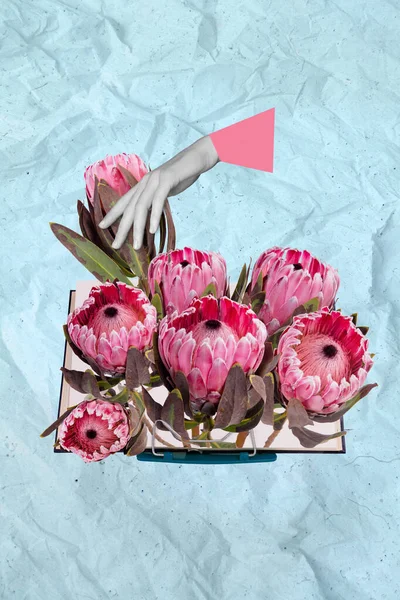 Composite Collage Image Hand Flowers Spring Vibe Feminine Gentle Pink — Zdjęcie stockowe