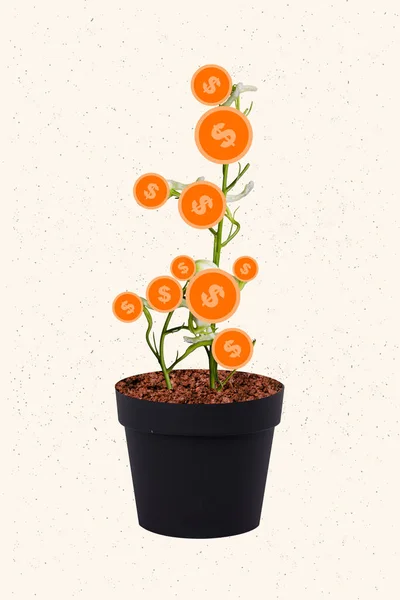 成長している天然植物の花のコラージュ写真有機植物のお金の木の概念投資暗号通貨白い背景に隔離された — ストック写真