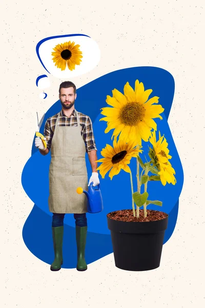 Vertical Poster Collage Artwork Young Professional Gardener Florist Botanic Man — Stock Photo, Image
