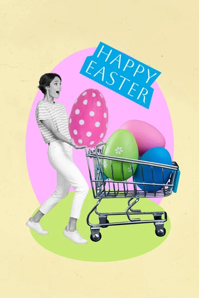 Conceptual Colagem Jovem Bonito Menina Dirigindo Carrinho Mão Supermercado Grande — Fotografia de Stock