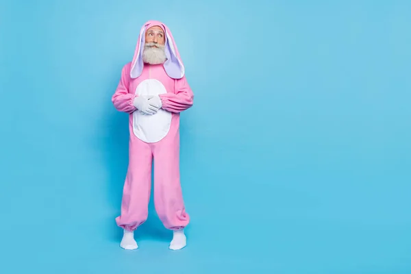 Full length photo of cheerful man dressed pink rabbit costume look empty space hold hands together isolated on blue color background.