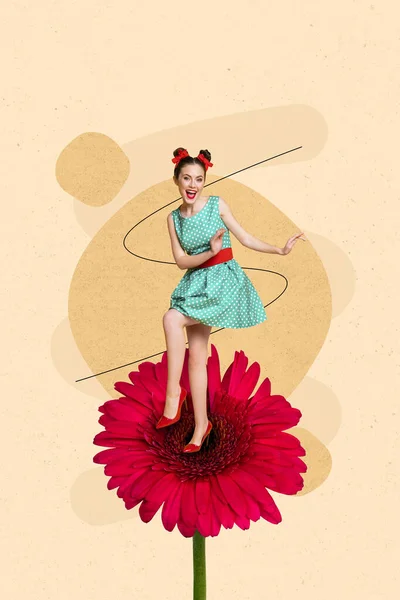 Fotokunst Werbung Collage Von Jungen Überglücklichen Dame Tanz Haben Spaß — Stockfoto