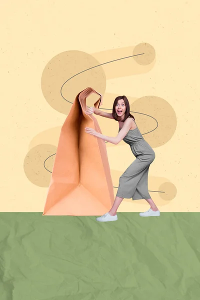 Коллаж Вертикальной Творческой Иллюстрации Позитивной Счастливой Девушки Получить Заказ Доставку — стоковое фото
