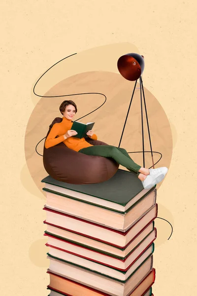 Collage Photo Young Attractive Cute Lady Bookworm Nerd Sitting Beanbag — Stock Photo, Image