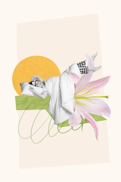 Collage Artwork Graphics Picture Charming Happy Lady Enjoying Sleeping Flower — Stock Photo, Image