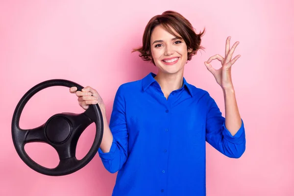 Portrait of charming lady hold wheel arm fingers demonstrate okey symbol isolated on pink color background.