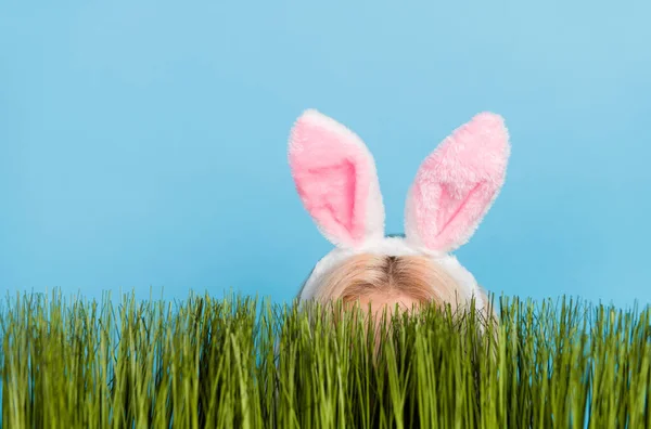 Zdjęcie Ukrycia Blondynka Wielkanocny Królik Trawie Nosić Uszy Izolowane Niebieskim — Zdjęcie stockowe