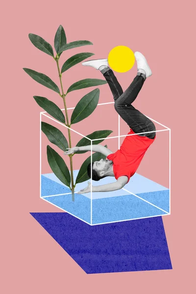 垂直創造的なコラージュ3Dテンプレート写真面白い不注意な男の絵の背景に孤立した水の植物と花瓶に落ちる — ストック写真