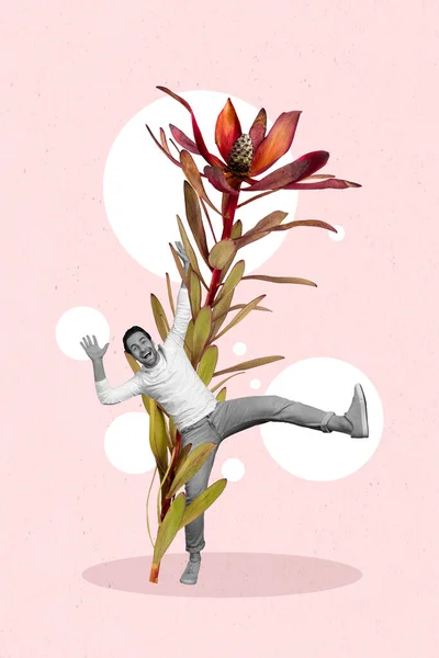 有创意的图片流行拼贴时髦的年轻迷你男人爬上顶部红色奇异的花朵从绿色的枝干上掉下来 — 图库照片
