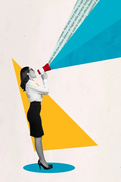Poster Banner Collage Imprenditore Prepotente Donna Affari Che Reportage Ultime — Foto Stock