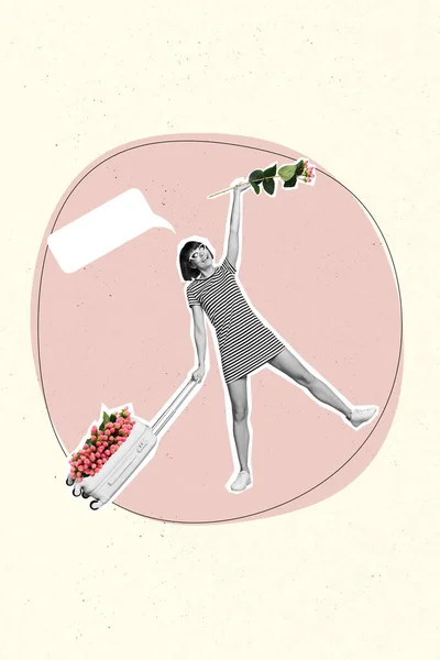 Collage Kunstværk Grafik Billede Ubekymret Dame Levere Blomster Tomme Rum - Stock-foto