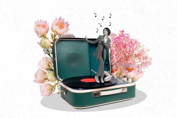 Kreativ Foto Design Collage Vorlage Werbung Verkauf Vintage Plattenspieler Grammophon — Stockfoto