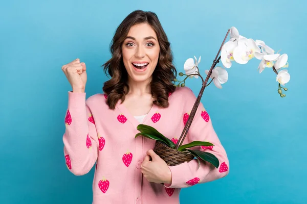 Фотопортрет Привабливої Жінки Піднімає Кулак Орхідеї Квітка Одягнена Стильний Рожевий — стокове фото