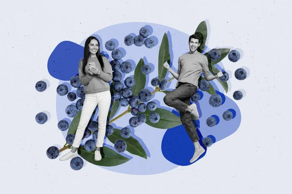 カップル愛好家の家族のコラージュの概念的な写真広告の若者の新鮮なブルーベリーを楽しむ背景を描く上で孤立電話を保持 — ストック写真