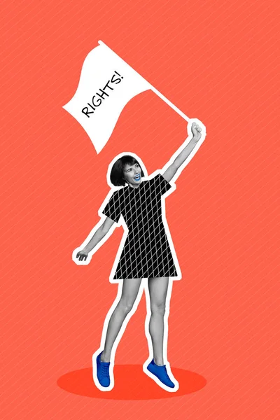 Коллаж Минимальное Фото Работы Молодой Активистки Смешной Женщины Держать Флаг — стоковое фото