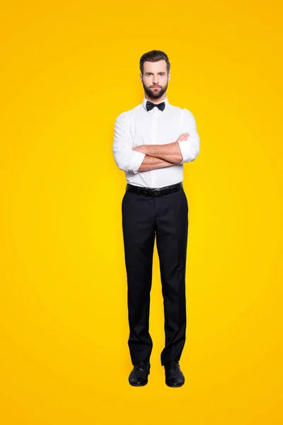 Ganzkörperporträt Eines Stilvollen Modernen Croupier Weißem Hemd Fliege Schwarzer Hose — Stockfoto