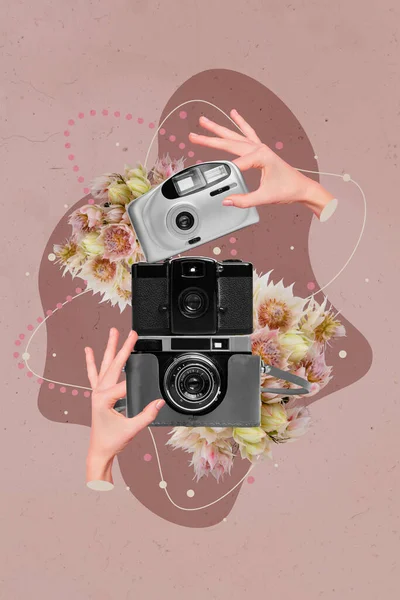 垂直拼贴图上的人们手指头拿着老式摄影相机的图片 这些新花在富有创意的背景下被分离出来 — 图库照片