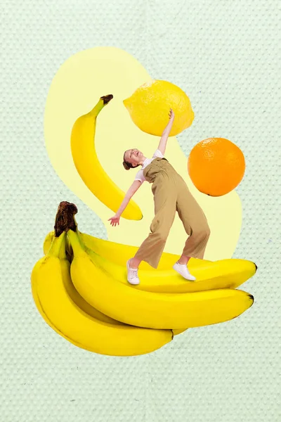 Photo Collage Minimal Illustration Jeune Adolescente Amuser Profiter Des Fruits — Photo