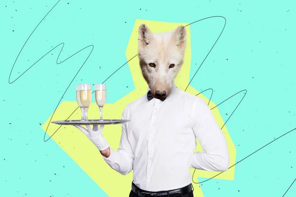 Creative Strange Image Collage Luxurious Stunning Person White Polar Wolf — Stock Photo, Image