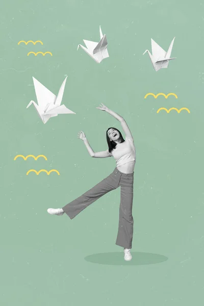 折り紙の鳥を楽しむファンキーな若い女性の創造的なテンプレートの画像コラージュ — ストック写真