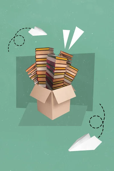 Toko Buku Online Mempersiapkan Pesanan Pelanggan Untuk Mengangkut Kotak Besar — Stok Foto