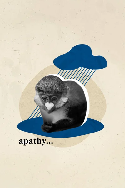 Creative Retro Magazine Collage Image Depressed Monkey Feeling Apathy Sitting — Stock Photo, Image