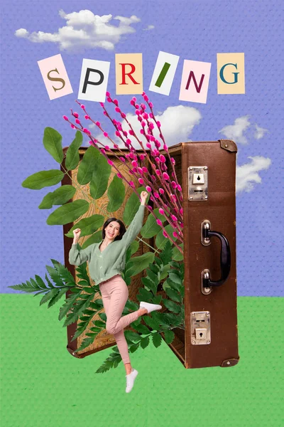 Obraz Ilustracja Szkic Plakat Kolaż Overjoyed Wesoły Dziewczyna Radować Wiosna — Zdjęcie stockowe