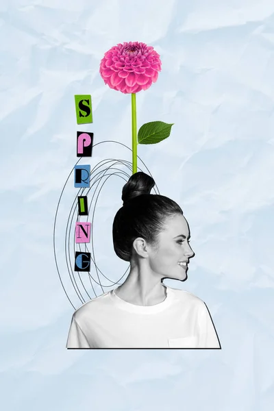 Kreative Abstrakte Vorlage Grafiken Collage Bild Von Glücklich Lächelnde Dame — Stockfoto