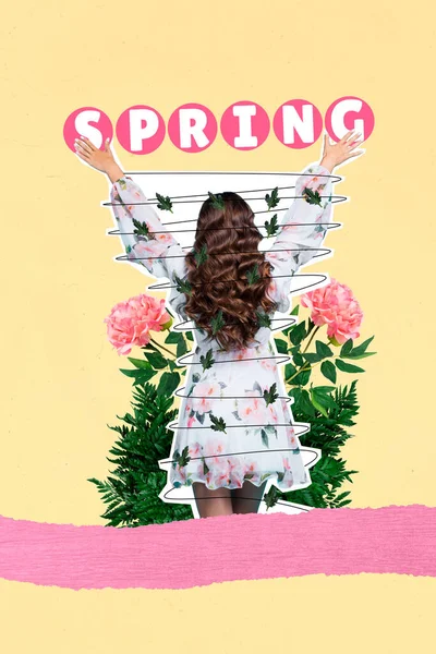 Collage Artwork Graphics Picture Carefree Excited Lady Celebrating Spring Season — Stock Photo, Image