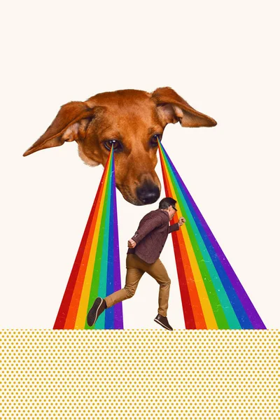 Колаж Зображення Плакат Дивна Фотографія Собаки Яка Спостерігає Силуетом Бігу — стокове фото