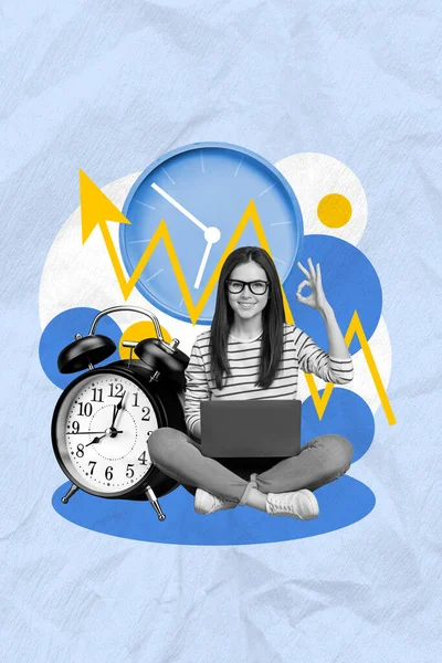 Genç Ekonomist Bayanın Afiş Kolajı Netbook Kullanarak Finans Verilerini Saat — Stok fotoğraf