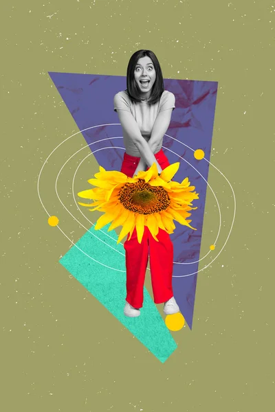 Photo Design Collage Young Crazy Overjoyed Girl Rozpocząć Okresy Słonecznik — Zdjęcie stockowe