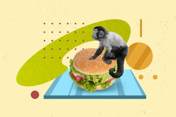 Композитна Колажна Картина Чорно Білої Мавпи Шимпанзе Сидить Великий Бургер — стокове фото